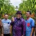 CABAI HARUS MENJADI PROGRAM BERSAMA PENGENDALIAN INFLASI JAMBI