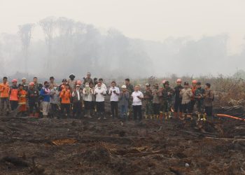 Pemulihan Gambut Jambi: Sekat Kanal, Pengawasan Karhutla, dan Perlindungan Warga Harus Terintegrasi