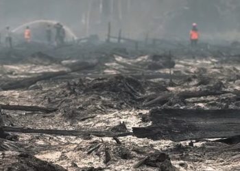 Hotspot dan Luas Terbakar Karhutla Jambi Berbeda, Verifikasi Lapangan Jadi Prioritas