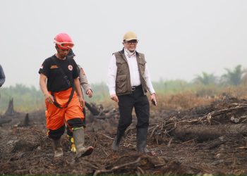 DPRD Jambi Dorong Verifikasi Data Karhutla, Hotspot Perusahaan dan Perkara Hukum Harus Dicocokkan